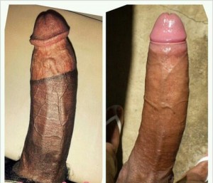 circumcised cock vs. natural cock